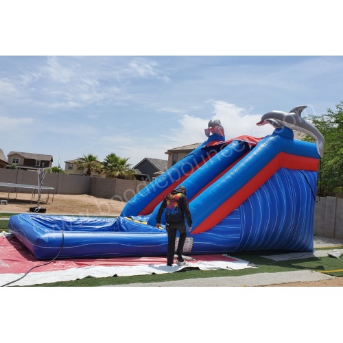 wm-14_foot_dolphin_waterslide_with_pool-03