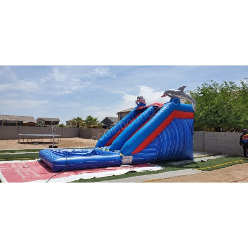 wm-14_foot_dolphin_waterslide_with_pool-06